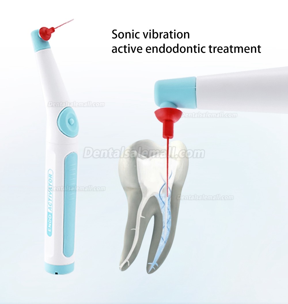 Dental Ergonomic Cordless Endodontic Ultrasonic Endo Activator Endoactivator Root Canal Irrigator Handpiece